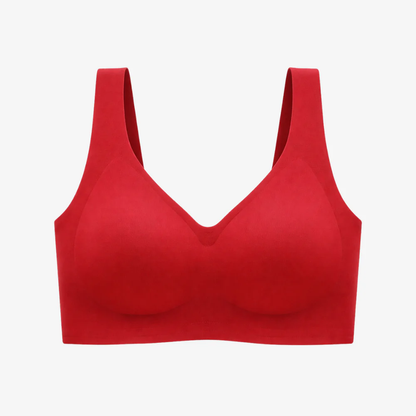 MOLDE – Seamless Premium Bra | Free Bundle